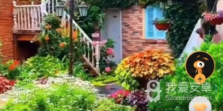 和鸭脖短视频相似的app合集