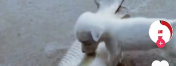 有创意的短剧app合集