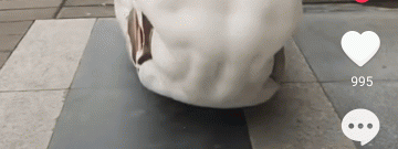 免费观看恐怖短剧的app合集