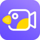 卡点视频免购买版