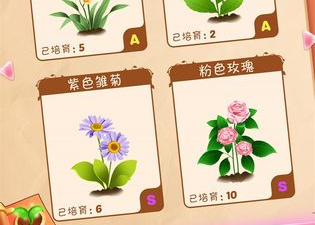 花花姑娘之魔法花园超全版本手游合集