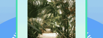 两个人免费视频wwwapp合集