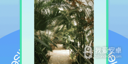 两个人免费视频wwwapp合集