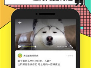 黄逗短视频历史版本app合集
