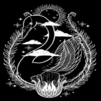 天鹅影视清爽版