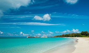 洒洒动漫网无修版