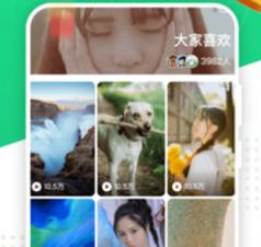 超火视频历史版本app合集