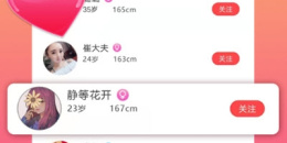 找对象上app合集