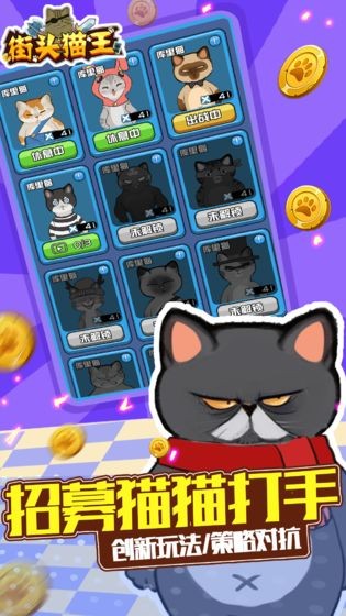 街头猫王