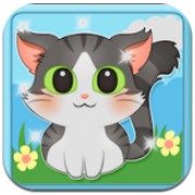 猫咪的生活