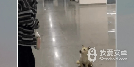 跟好看短剧一样的app合集