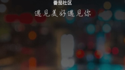 红包版游戏合集