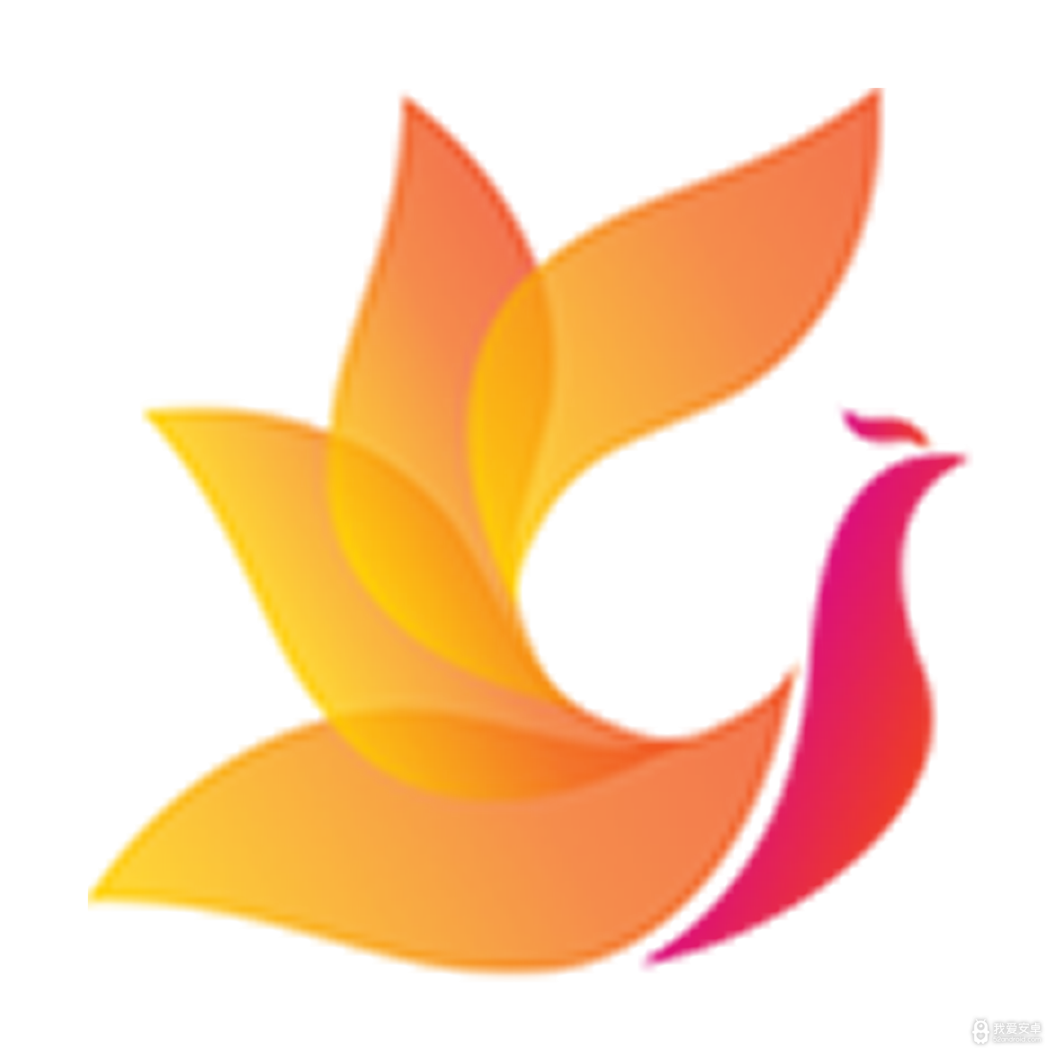 影视工场极速版