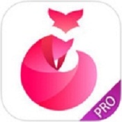 逍遥屋免费观看