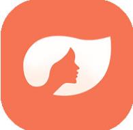 后宫视频