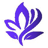 薰衣草短视频赚钱版