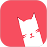 猫咪视频纯净版
