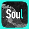 soul收费版