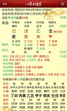 新八字排盘宝