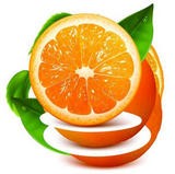橙子视频 最新版