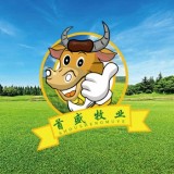 首盛牧业