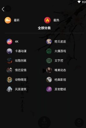 4K动态壁纸