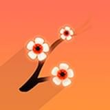 红钻漫画全彩版