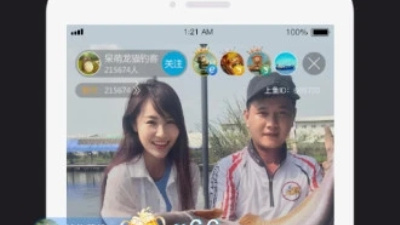 可以钓鱼的手游合集