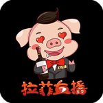 拉菲直播无限观看版