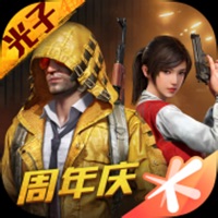 和平精英九游版
