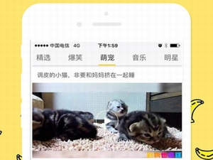 和萝莉社影视一样的app合集