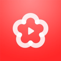 梅花视频清爽版