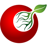 暖暖影院(在线观看)