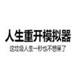 人生重开模拟器玄幻版