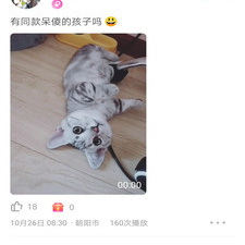 和花样视频同款的app合集