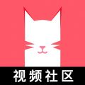 猫咪视频破解版