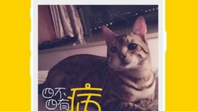 和趣开黑同款的app合集