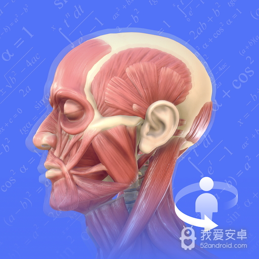 3Dbody解剖学