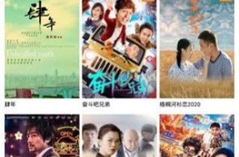 跟火鸟影视同款的app合集