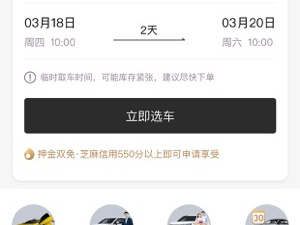 分时租车app合集