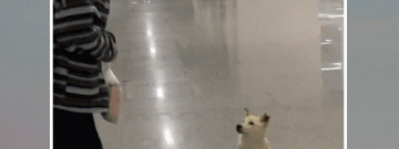 古装短剧app合集