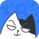 坏坏猫全屏版
