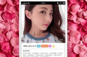 像夜爱交友的app合集