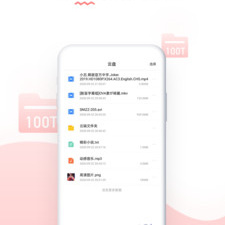 小磁力版本手游合集