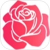玫瑰直播纯净版