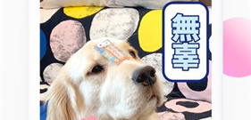 类似草莓影视的app合集