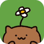 猫咪的庭院物语