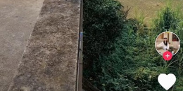 免费看子时杂货铺短剧的app合集