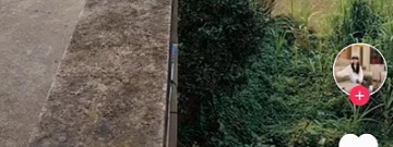 免费看子时杂货铺短剧的app合集