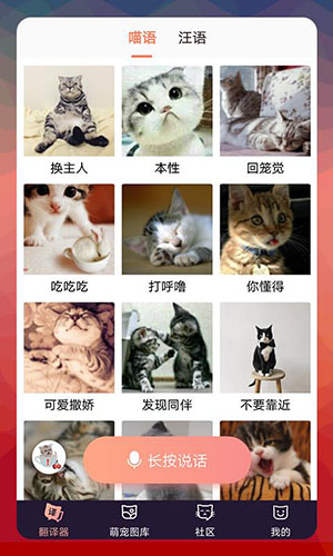 猫语翻译器(猫咪交流翻译器)